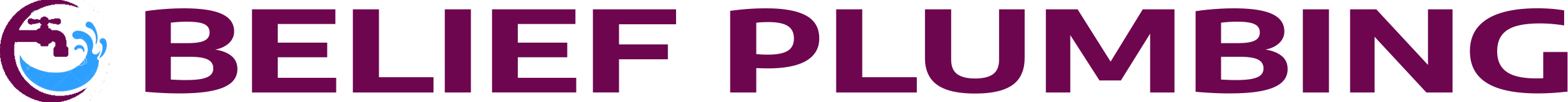 website logo